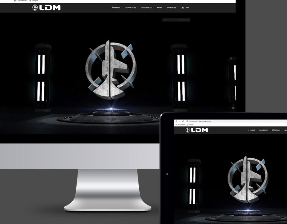 LDM Site Web Presentation